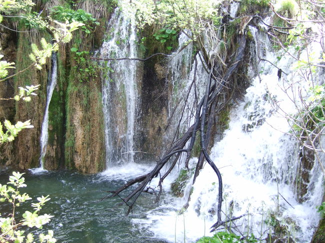 このような滝が９０以上あります。全部歩くと８時間ぐらいかかるそうなので、わたしは２日に分けて、と思ったら翌日雨になってしまって、全部周れませんでした。寒いし。