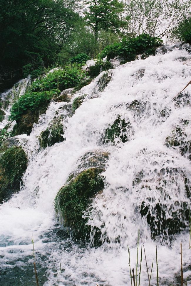 この時期は雪解けの水が流れてくるため水量が多いので、ダイナミックな自然が楽しめるそうです。