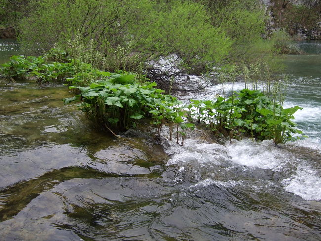 ミルカ・トルニナ滝。<br />世界的なオペラ歌手、ミルカ・トロニナが好んだ滝でその名前がつけられています。