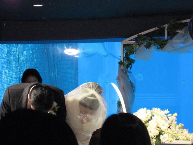 海遊館にて結婚式 挙式編 大阪ベイエリア 大阪 の旅行記 ブログ By Shihoさん フォートラベル