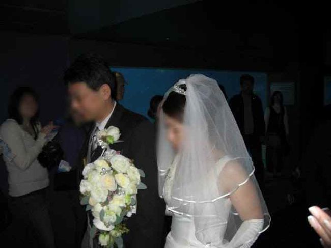 海遊館にて結婚式 挙式編 大阪ベイエリア 大阪 の旅行記 ブログ By Shihoさん フォートラベル