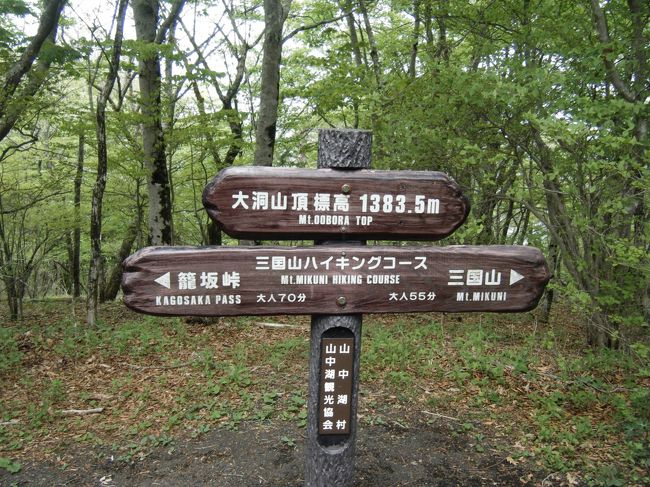 大洞山頂標高1383.5M