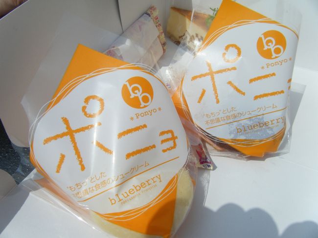 お蕎麦屋さんにタクシーを呼んで<br />平野⇒篭坂峠まで車を取りに戻ります。<br /><br />その後、ホテルに戻りラウンジでティータイム<br /><br />ここで露天風呂の予約を入れます。<br />