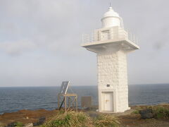 朝６時起床で、ウチヤマシマセンニュウの観察ポイント伊豆岬に出かけました。