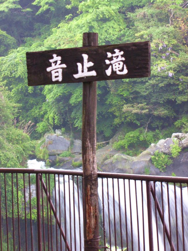 音止滝は近くから見えましたが凄い水量で音も凄かったです。