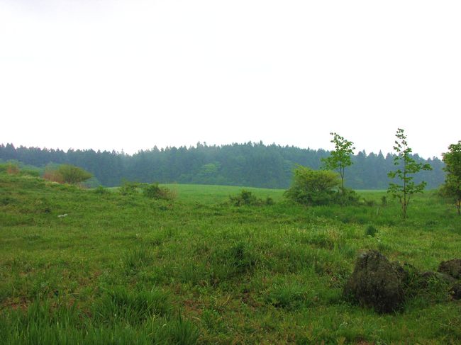 天気が良ければこちらの方向に富士山が見えるはずだったのですが。