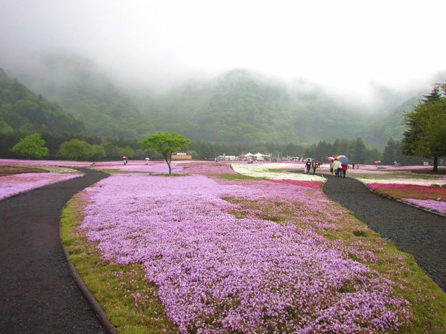 混雑を見越して朝7時から開園していましたので7時30分頃入りました。