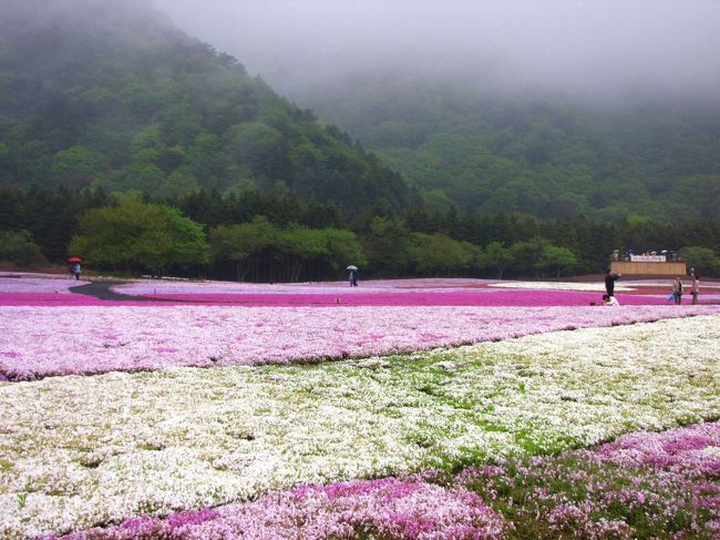 雨は霧雨程度でした。