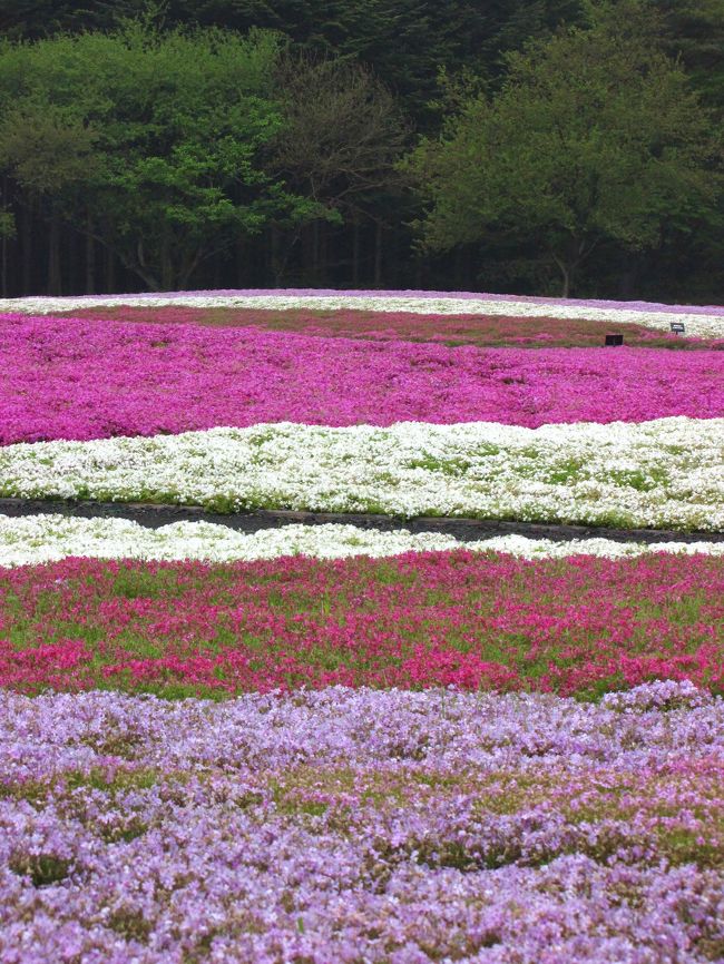 何処を見ても綺麗です。