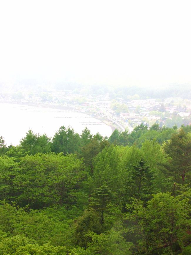 新緑の景色を見て満足するしかないですね。