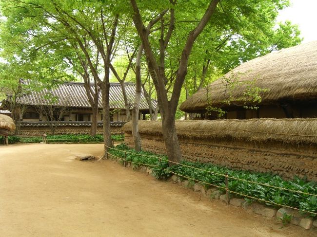 そこから30分。ぼんやり景色を眺めていたら、着いた。広い駐車場に、いっぱいの車。休みだから、みんな来てんだなぁ・・。<br />チケットブースで入場券を買って、中へ。たくさんの親子連れ。外国人より、地元の人のが多い。<br />「韓国民族村」は、韓国の色んな地域や時代のお屋敷や、貴族・農民の家などを再現した「テーマパーク」とでも、言いましょーかねww。<br />実際、撮影に使われたりも、するみたい。<br />