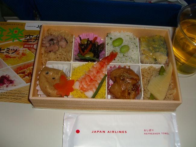 帰りは、お弁当が出ました。目にも綺麗で、おいしかったです。<br /><br />今回は、最後の最後まで、バタバタでした。マッコリを買ったのは、ホテルをチェックアウトしてから。それがいけなかったのねぇ・・。前日に買ってたら、きっとスーツケースに入れてたと思う。・・と、まあ、なかなかできない体験でした。