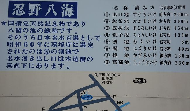 朝一番に角屋豆腐店に寄ってhttp://www.fujigoko.tv/tdet.cgi?code=4197（このURLから富士山の写真や動画が見えます）美味しい豆腐のお土産を買ってから忍野八海に行きました。