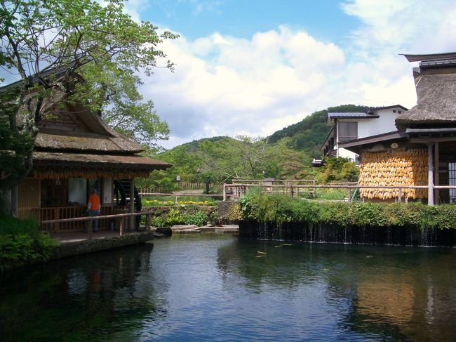 忍野八海に来た時には太陽が顔を出し雪をかぶった白い富士山が見えましたが2時間位経った帰り道では雨に成っていました。