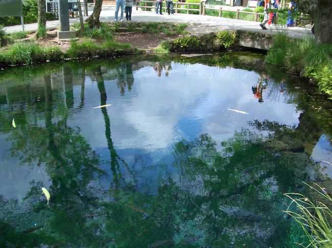 忍野八海は富士山の伏流水が湧いてきて出来た池でしょう。