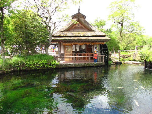 水車小屋がありますが何を搗くのでしょうね？