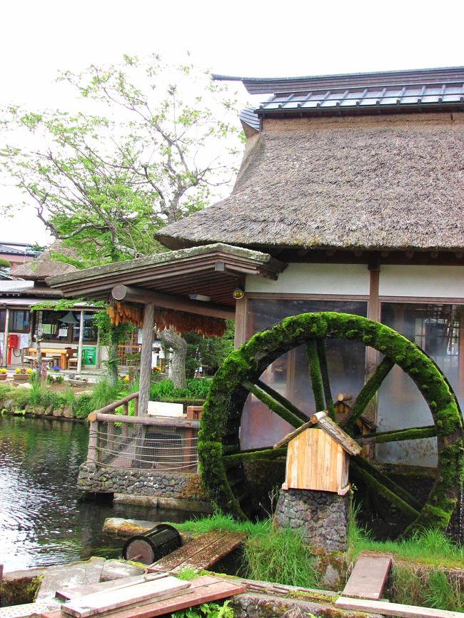 水車には苔がいっぱい付いていました。