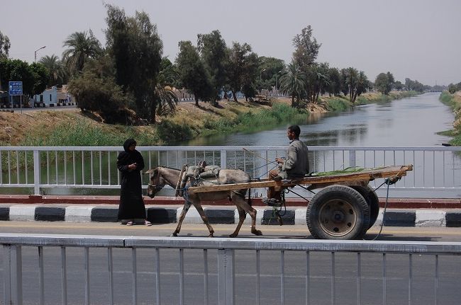 ルクソールは都会のような田舎のような？いい町だな〜。