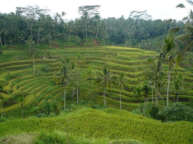 テガラランのライステラスです。<br /><br />物売りの人々と外国人旅行者でにぎわっていました。<br /><br />絶景かな!絶景かな！！