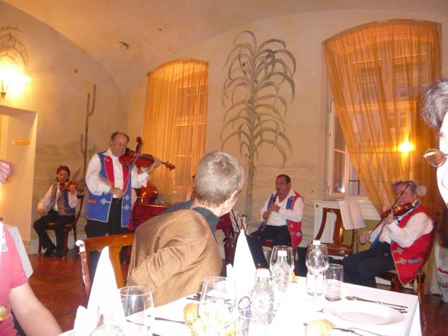 　伝統的な音楽でむかえられました。演奏がとてもすばらしい！