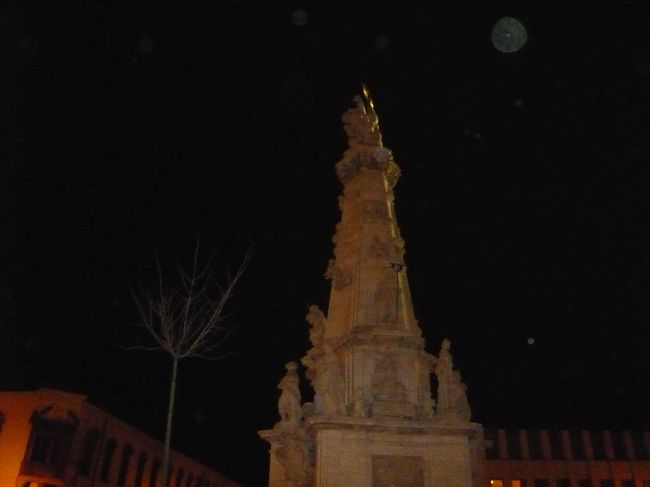 　せっかくなので、ブダの丘からの夜景を楽しみながら、バスまで歩くことになりました。