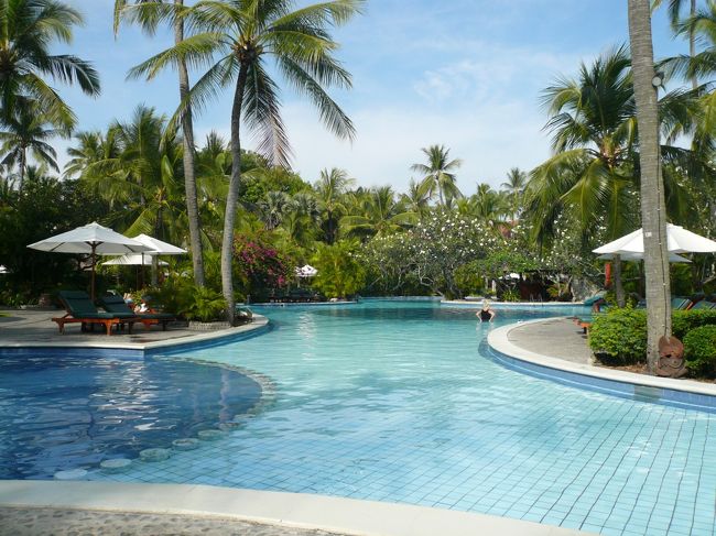 朝のプール。<br /><br />ここも静かです。