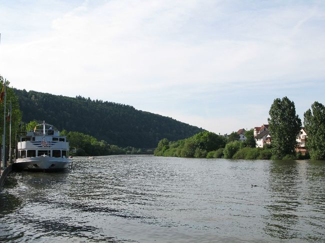 向こうには、ちょっと小さめの観光船。その先が、タウバー川との合流点です。