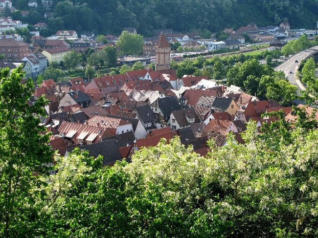 寄ってみると、街のシンボルである、Spizer Turmが見えます。