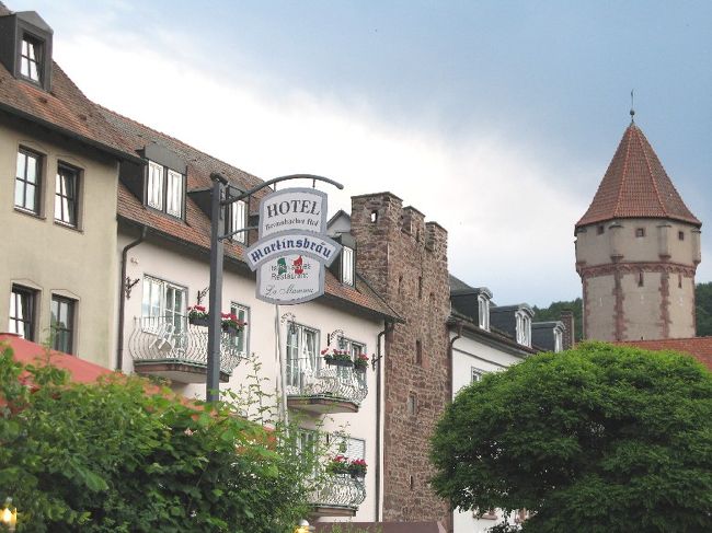 ドイツ人に倣って、ゆっくりと時を過ごすべく、マイン川沿いの上品なホテル兼レストランで、乾いた喉を潤します。