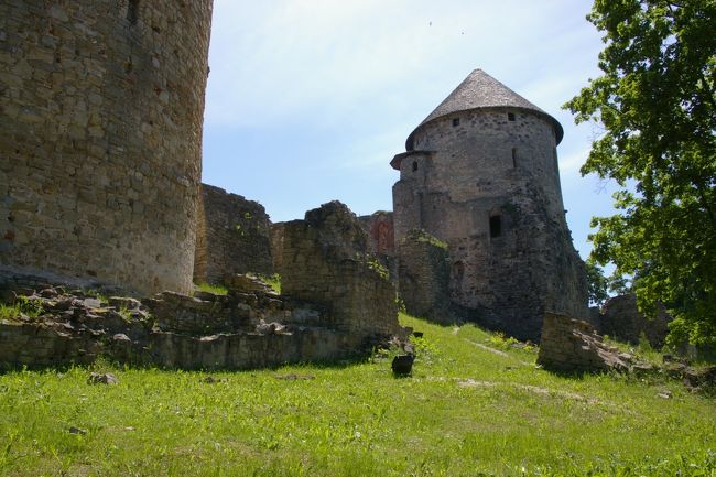 城は復旧工事中だった。<br />このままでも充分趣がある。