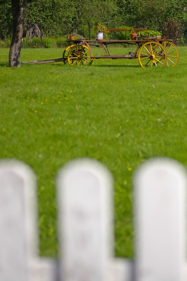 駅前のバス乗り場まで今日もてくてく歩いて行く。