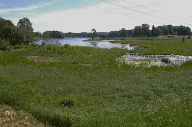 マイクロバスに乗ってAraisiに到着。(0.25Ls)