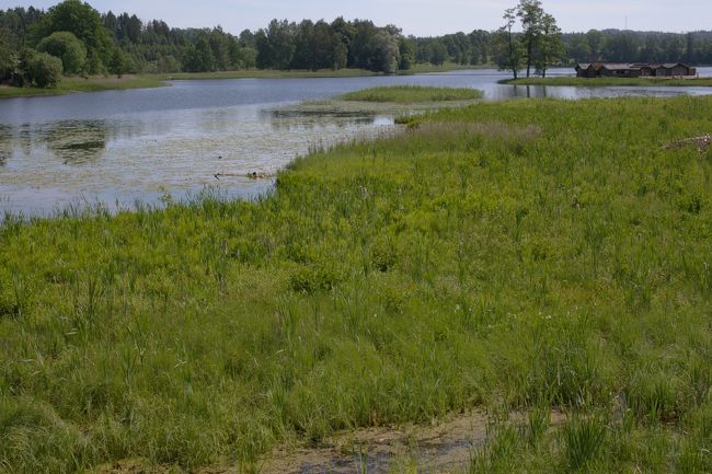 その頃から、この辺りの景色はきっと変わっていないんだろうな。