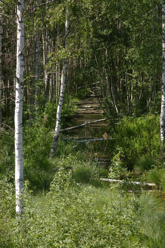 Araisiの要塞を後にし、丘の上にあるという風車を観に行くことに。<br />道中も美しい風景が続く。