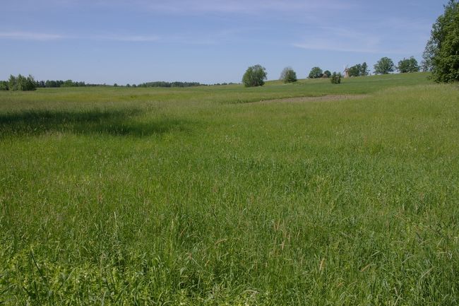 風車が見えて来た。