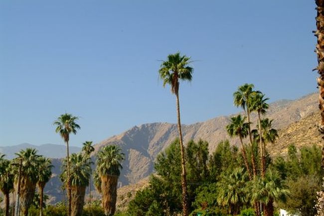 パームスプリングの週末 パームスプリングス。』パームスプリングス(アメリカ)の旅行記・ブログ