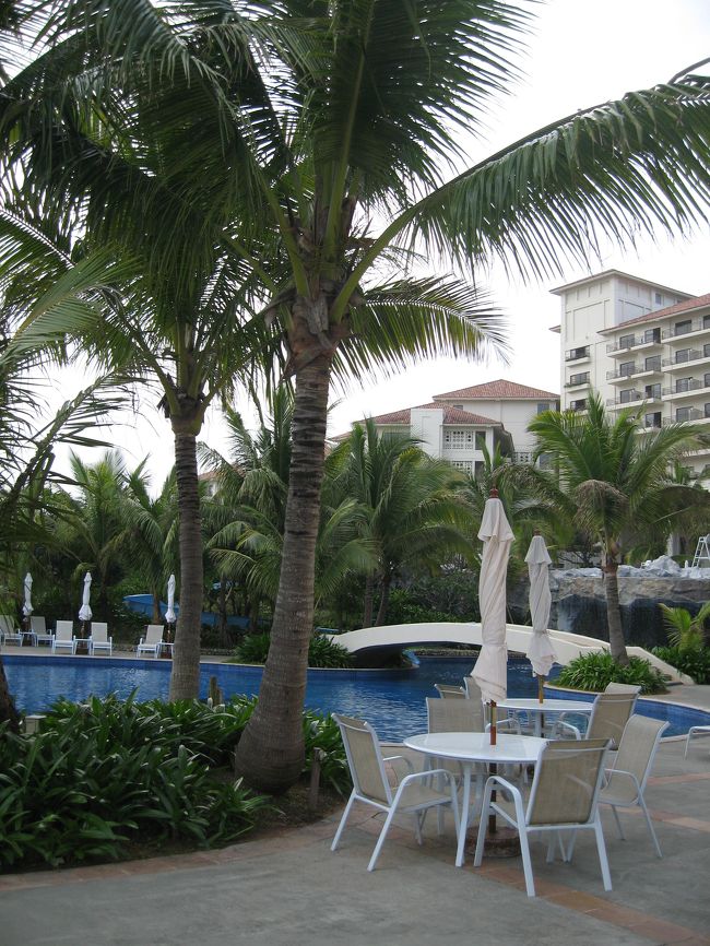 これは上手に撮れました。