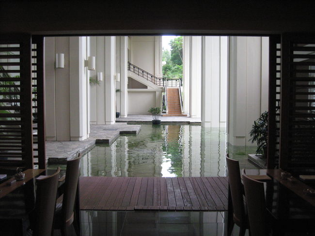 何気なく取った写真ですが、お気に入りの１枚に。<br /><br />