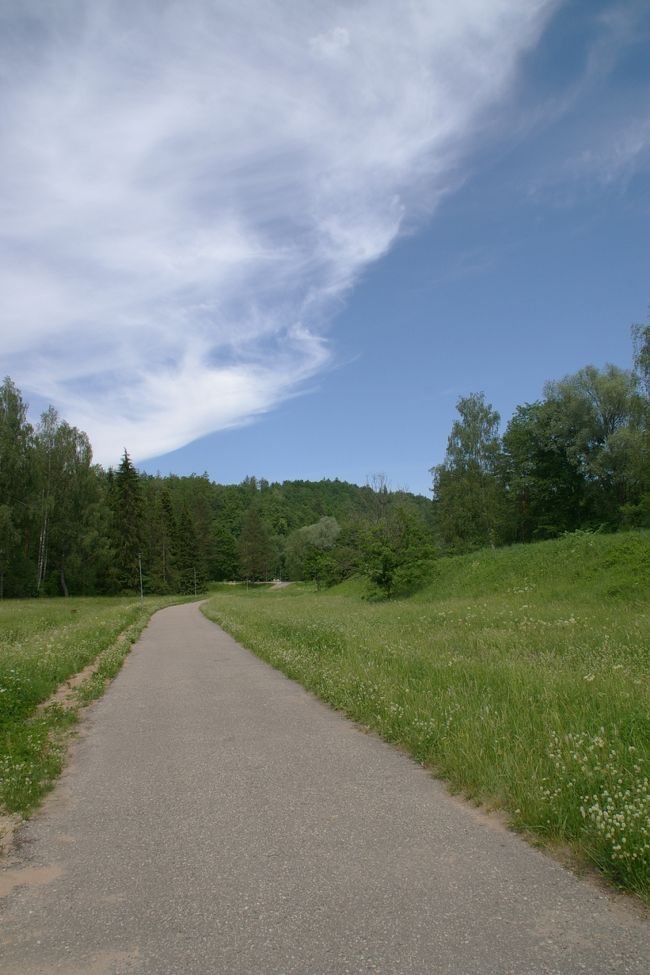 散策道が整備されている。