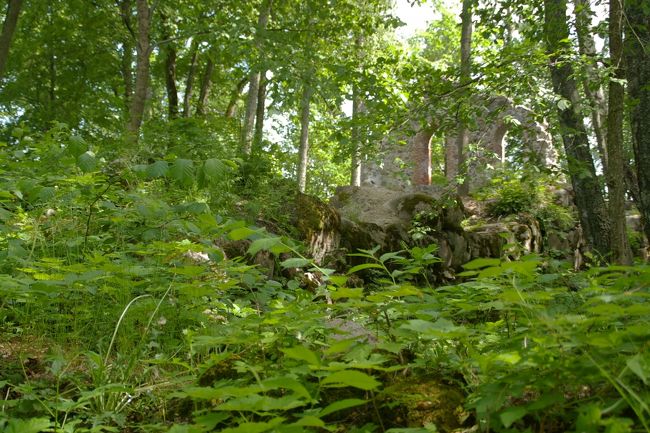 古いお城の址だが、ここは手付かずのまま野ざらしになっていた。
