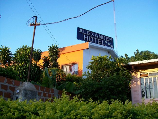 ホテルは、バスターミナル付近に沢山あり。<br /><br />1-2軒見たが、値段の割に設備が今一つ。<br />すぐ斜め前に３ツ星ホテルがあったので、覗いてみた。<br />設備もいいし、値段も折り合ったので投宿。<br /><br />住:プエルト・イグアスの宿「アレキサンダー・ホテル Alexander Hotel」<br /><br />【価格】ダブル100ペソ。<br />部屋代160→120ペソ。→現金払い＆１人だからと100ペソにしてもらった。<br />【設備】エアコン、TV、ホットシャワー、洋式トイレ。３ツ星ホテル。<br />【場所】バスターミナルの北西向かいにある。「歩き方」にも載っています。<br />【評価】★★★<br />