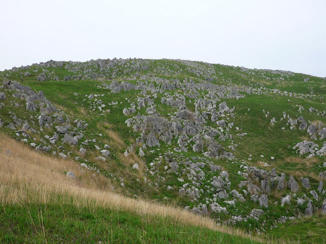 (7)秋吉台<br /><br />　秋吉台は普通の草原とは違ってデコボコしている。カルスト台地ならではの特徴だ。