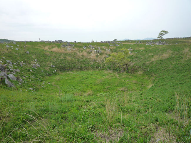 (12)秋吉台（ドリーネ）<br /><br />　秋吉台がデコボコしているのはドリーネと呼ばれる窪地がたくさんあるため。石灰岩が雨水によって浸食され形成される。