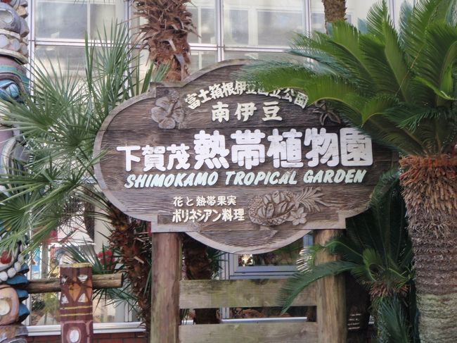 植物園へ行きました