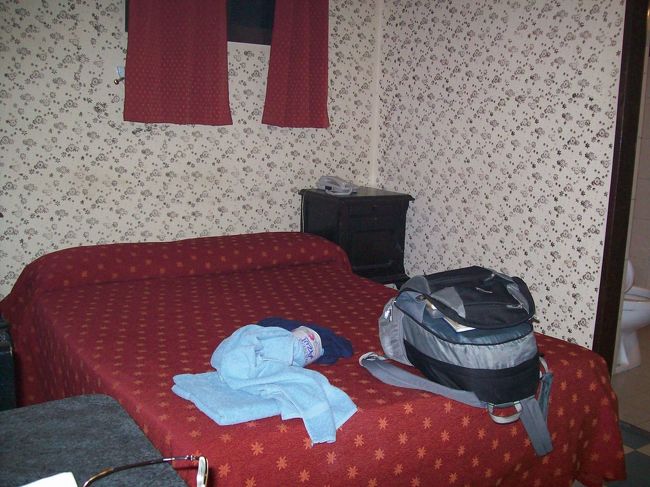 安宿だが、まあまあ・・・2泊決定！<br /><br />--------------------------<br />ブエノス・アイレスの宿「ホテル・ラ・ギラルダ Hotel LaGiralda」<br />【価格】ダブル100ペソ。<br />【設備】ファン、ホットシャワー、洋式トイレ、冷蔵庫。<br />【場所】地下鉄A線とC線の交差駅「Av.de.Mayo駅」から東に100ｍ位。<br />「歩き方」に載っている「ノベル・ホテル Novel Hotel」の東隣・Astoria通りを北へ20ｍ程の所です。<br />近く（１ブロック内、歩いて3分）にスーパーマーケットあり。<br />【評価】★★★