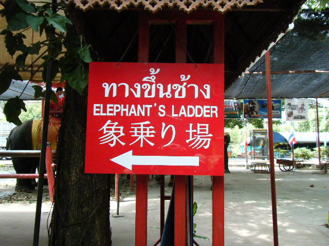 次に、象さんに乗ります。