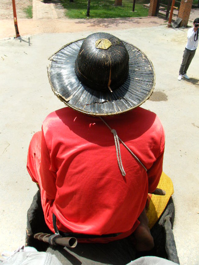 前に乗っている象使いのおじさん。