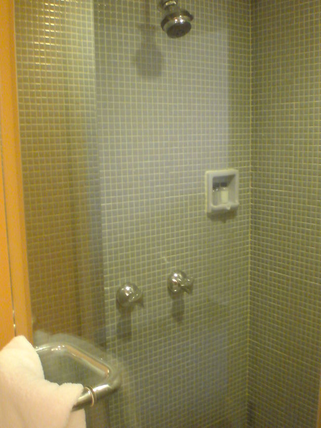 ゲストルームとは部屋の大きさはほとんど変わりませんが、設備としての大きな違いはこちら。<br />独立したシャワーブースがあるため、海やプールに行った後はここに直行です。非常に便利でした。