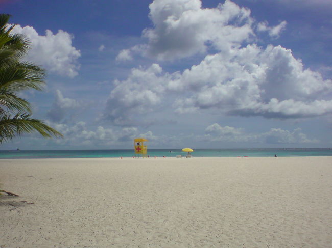 昼間過ごせるラストの4日目は、サイパン定番の観光スポットマニャガハ島。ハイアット前のビーチから直接島へ。こころなしか、去年よりお客さんが少なかったせいか、海で見られた魚の数がだいぶ増えていました。<br />写真は失敗ですね・・・砂浜しか写ってない(^^;)<br /><br />この日まで全く雨が降らなかったのですが、マニャガハ島を出る頃にスコールにやられました。まあ、ほんの10分程度でしたけどね。