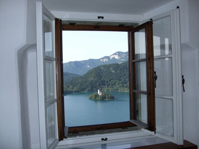 角度を変えてみたり、フラッシュ利用したり…<br />いろいろ撮ってみました。